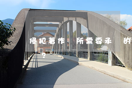 侵犯著作權所需要承擔的民事責任都有哪些？